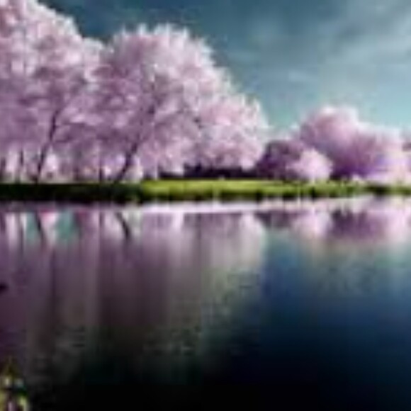 lacandreaseals1